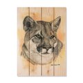 Wile E. Wood 14 x 20 in. Bartholets Cougar Wood Art DBCOU-1420